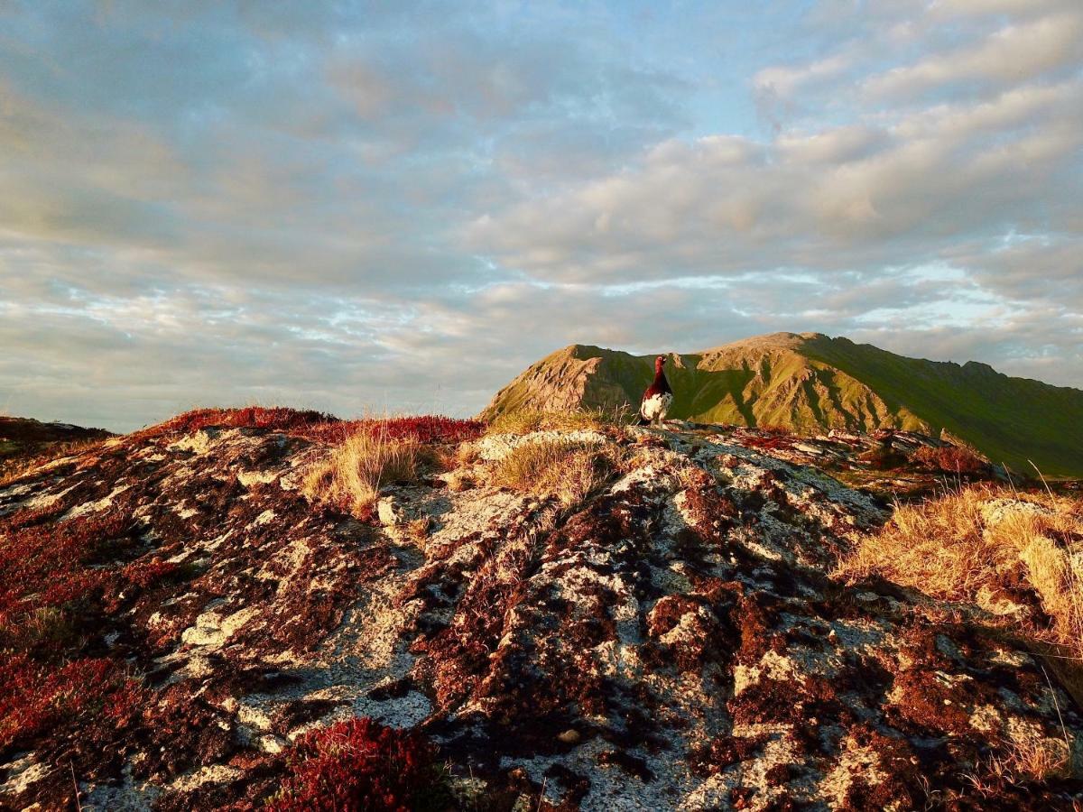 Lofoten Ocean View - Sandoy Gard Sand  Exterior photo